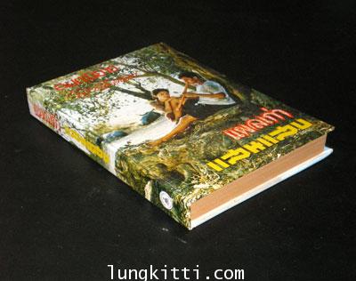 แผลเก่า – แสนแสบ/ ไม้ เมืองเดิม 1