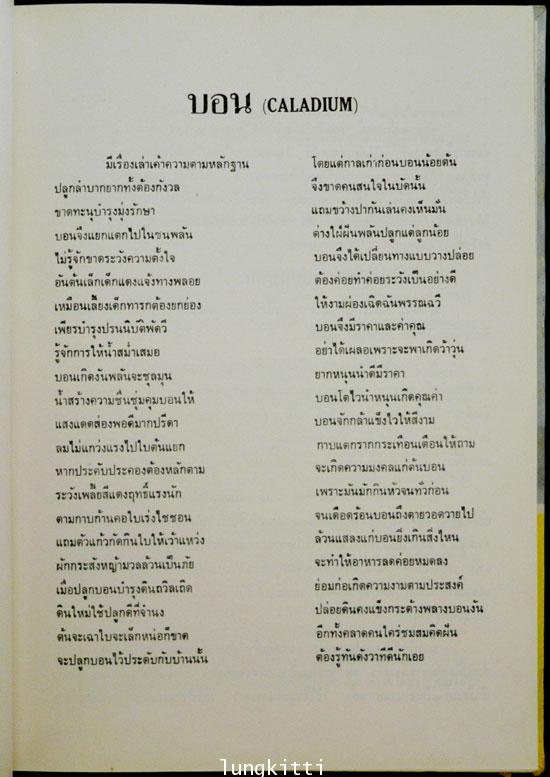ชุมนุมบอนสี 1
