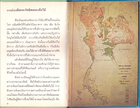 ป่าไม้ไทย หนังสือชุดความรู้ไทย 1