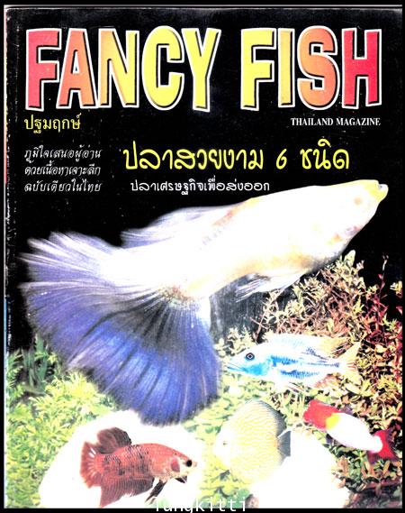 นิตยสาร FANCY  FISH (ฉบับปฐมฤกษ์) ปีที่ 1  ฉบับที่ 1  / 2543