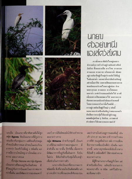 สารคดี  ปีที่ 1ฉบับที่ 8 / กันยายน 2528 3