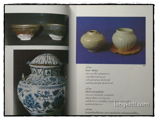 เครื่องถ้วยจีน ที่พบจากแหล่งโบราณคดีในประเทศไทย 9
