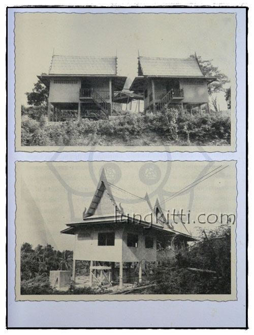 ประวัติท่านธมฺมวิตกฺโก ภิกฺขุ 2