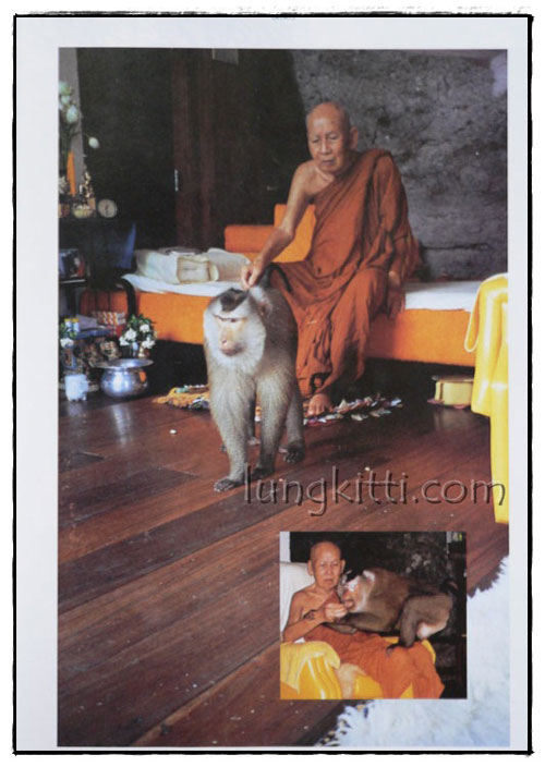 อัตตโนประวัติ พระราชนิโรธรังสีคัมภีรปัญญาวิศิษฏ์ (เทสก์ เทสรังสี) 11