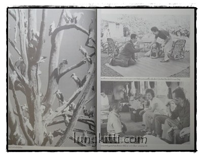 อนุสรณ์ในการพระราชทานเพลิงศพ นายแพทย์บุญส่ง เลขะกุล 11