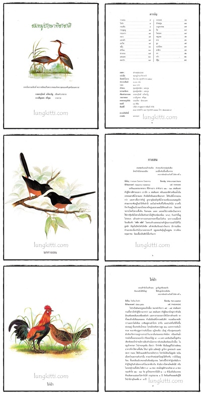 อัลบั้ม ชมหมู่ปักษาทิชาชาติ 4