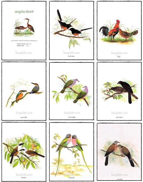 อัลบั้ม ชมหมู่ปักษาทิชาชาติ 1