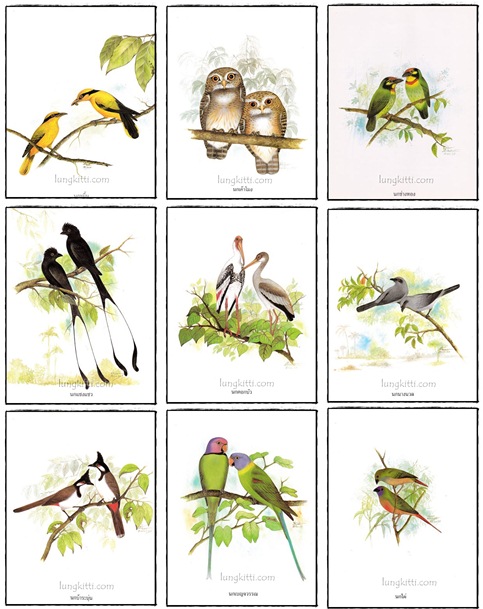 อัลบั้ม ชมหมู่ปักษาทิชาชาติ 2