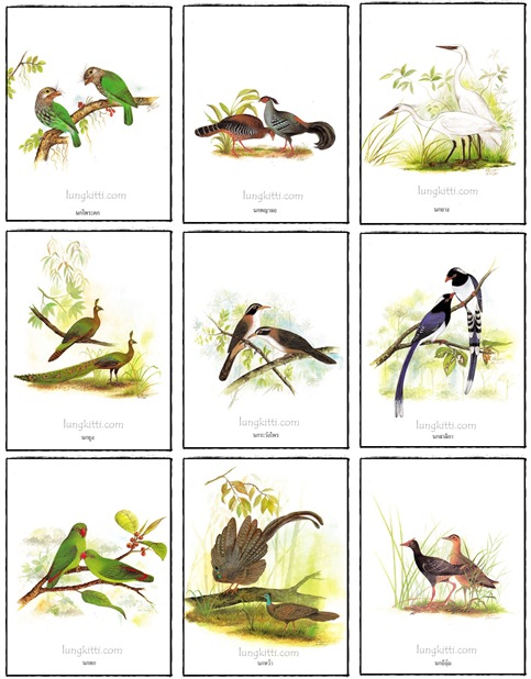 อัลบั้ม ชมหมู่ปักษาทิชาชาติ 3