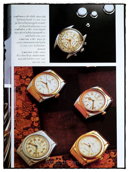 คอลเล็คชั่น แอนด์ เฮ้าส์ HOUSE NATURE ปีที่ 4 ฉบับที่ 22 / 2536 6