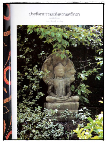 คอลเล็คชั่น แอนด์ เฮ้าส์ HOUSE NATURE ปีที่ 4 ฉบับที่ 22 / 2536 7