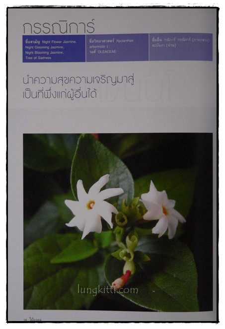 ไม้มงคล / ธัญนันท์ วีระกุล 4