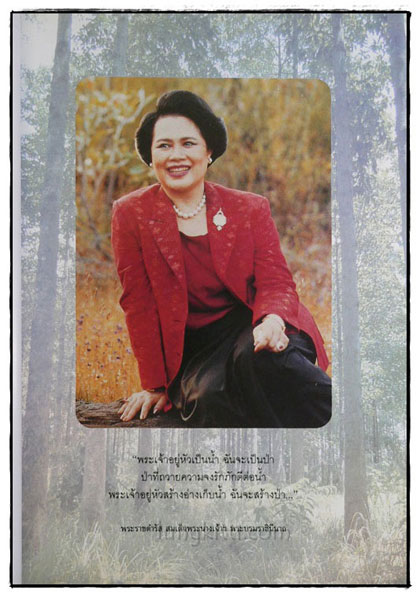 พันธ์ไม้มงคลพระราชทาน 2