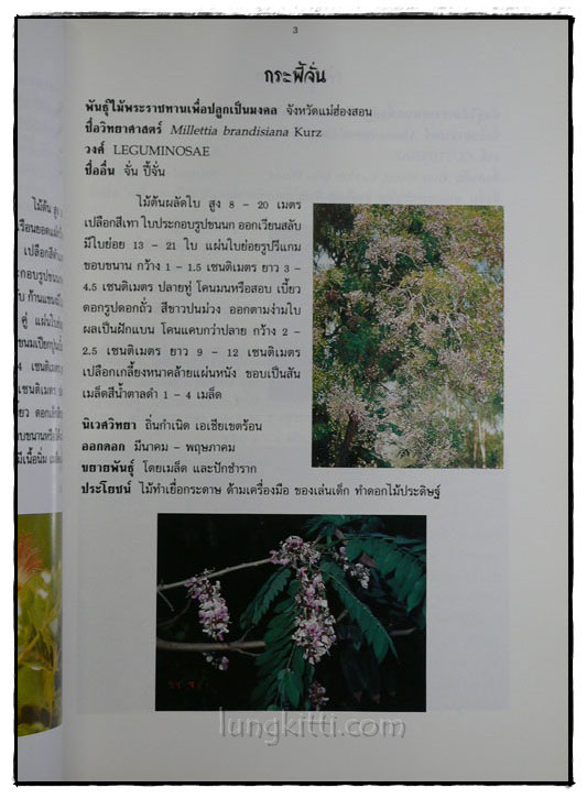 พันธ์ไม้มงคลพระราชทาน 5