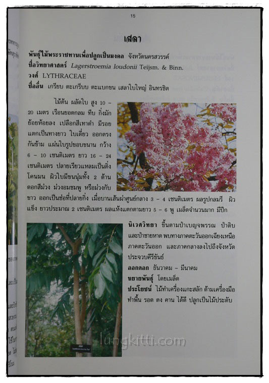 พันธ์ไม้มงคลพระราชทาน 9