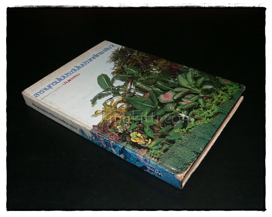 สารานุกรมไม้ประดับในประเทศไทย  (เล่ม 2) 9