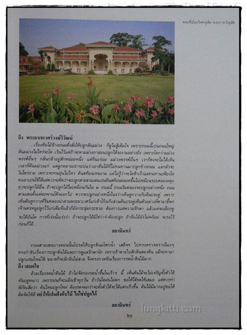 ไม้ดอกและไม้ประดับ 4
