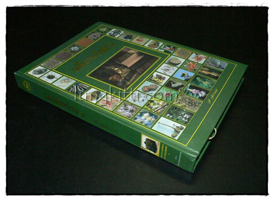 เครื่องยาไทย ๑ 1