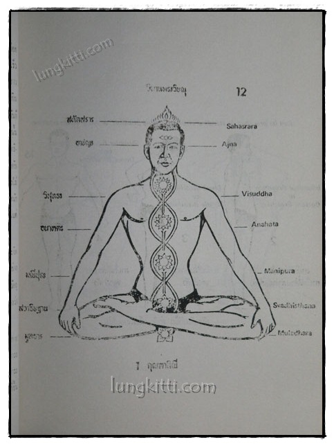 หะธะโยคะ HATHA – YOGA / เทียม กาญจนจารี 3
