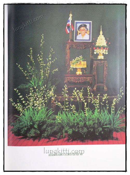 มะลิ สัญลักษณ์วันแม่ของไทย  / มณีรัตน์ จันทนะผะลิน 2