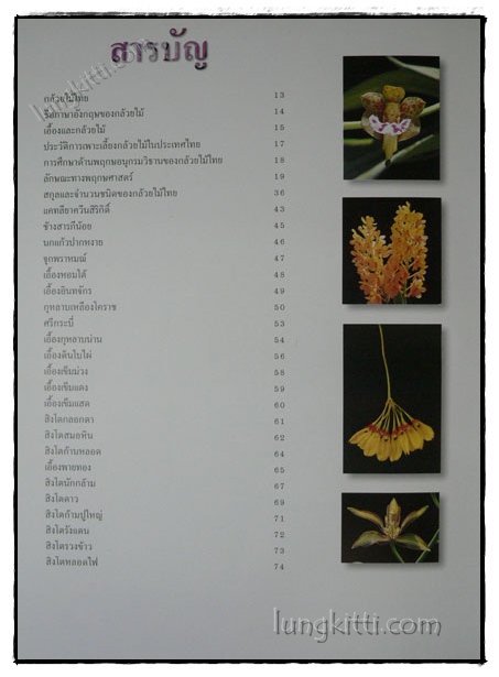 สวนพฤกษศาสตร์สมเด็จพระนางเจ้าสิริกิติ์ กล้วยไม้ไทย 3