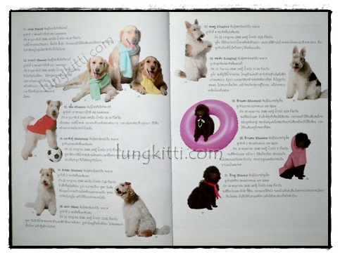 สัตว์เลี้ยงวังสระปทุม (Diary 2549/2006) 4