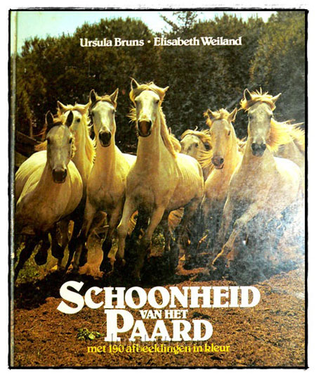 SCHOONHEID VAN HET PAARD