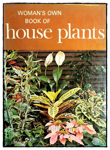 WOMAN’S OWN BOOK OF HOUSE PLANTS