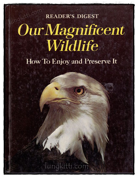 Our Magnificent Wildlife - How To Enjoy and Preserve It