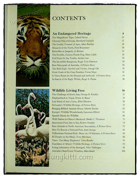 Our Magnificent Wildlife - How To Enjoy and Preserve It 1