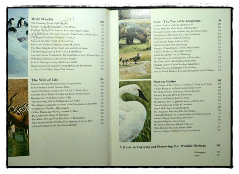 Our Magnificent Wildlife - How To Enjoy and Preserve It 3