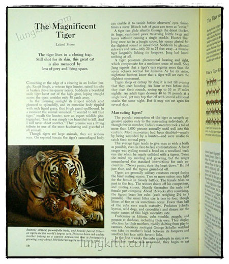 Our Magnificent Wildlife - How To Enjoy and Preserve It 4