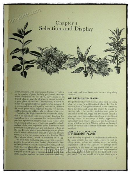 WOMAN’S OWN BOOK OF HOUSE PLANTS 3