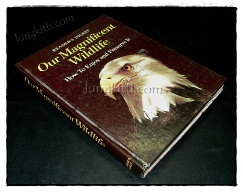 Our Magnificent Wildlife - How To Enjoy and Preserve It 9