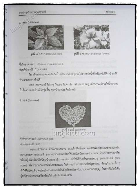 ผลิตภัณฑ์จากสมุนไพรและผลิตภัณฑ์เสริมอาหาร 6