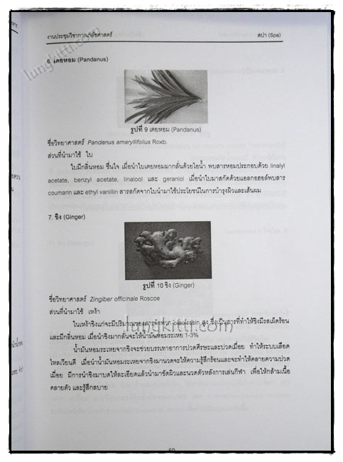ผลิตภัณฑ์จากสมุนไพรและผลิตภัณฑ์เสริมอาหาร 7
