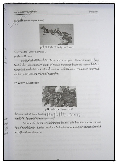 ผลิตภัณฑ์จากสมุนไพรและผลิตภัณฑ์เสริมอาหาร 8