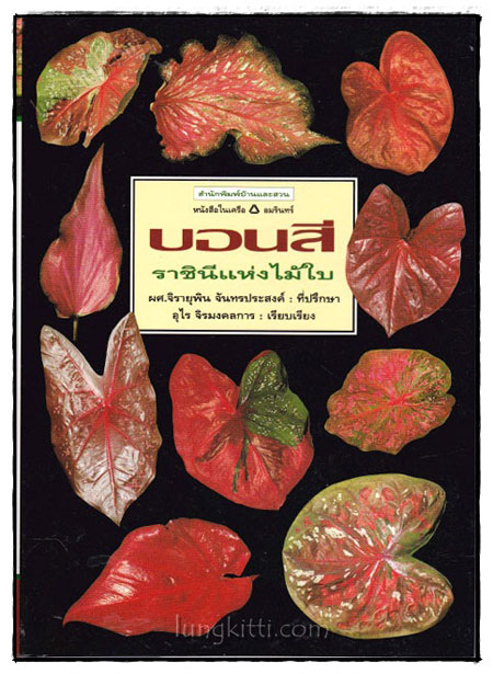 บอนสี : ราชินีแห่งใบไม้