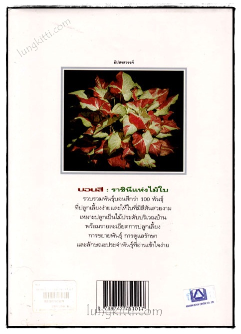 บอนสี : ราชินีแห่งใบไม้ 1