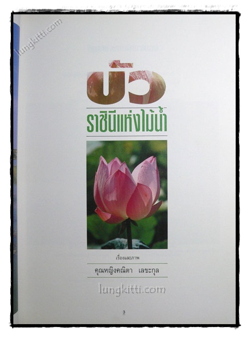 บัว ราชินีแห่งไม้น้ำ 1