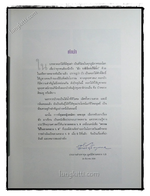 บัว ราชินีแห่งไม้น้ำ 3