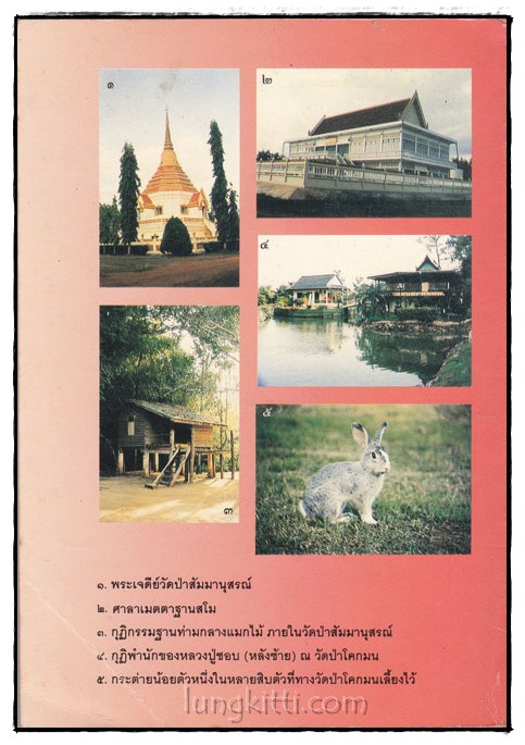 หลวงปู่ชอบ ฐานสโม ผู้มีญาณหยั่งรู้ 1