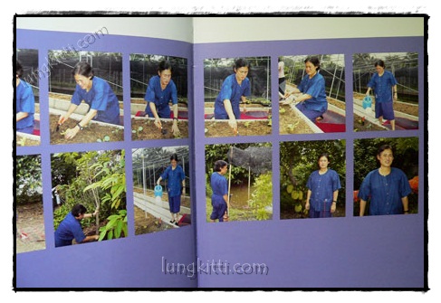 พรรณไม้พระตำหนักสวนปทุม 1