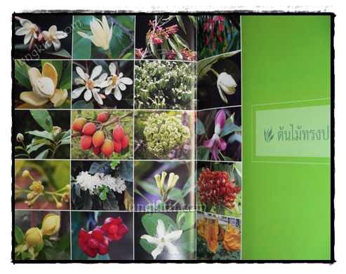 พรรณไม้พระตำหนักสวนปทุม 3