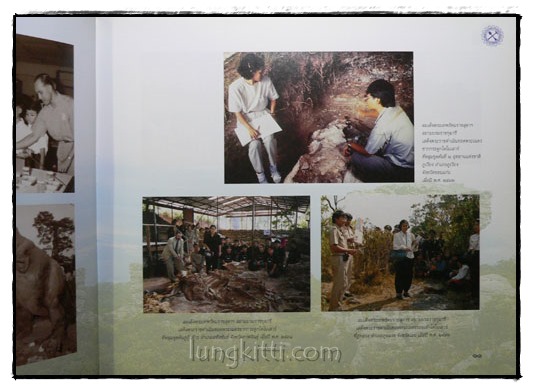 กรมทรัพยากรธรณี ปีที่ 111 5