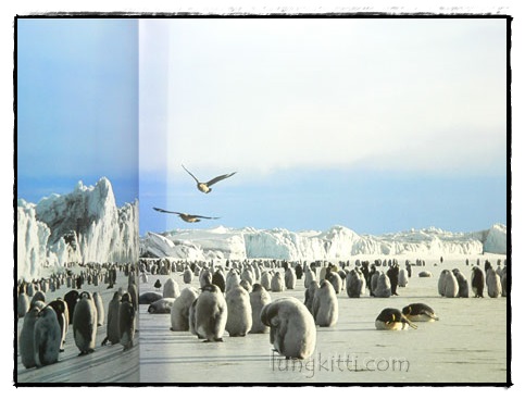 มองโลกผ่านเลนส์ (THROUGH THE LENS) 2
