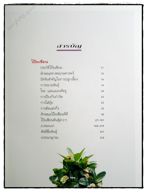 โป๊ยเซียนไม้ดอกเสี่ยงทาย (เล่ม 1) 1
