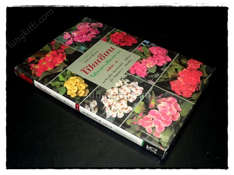 โป๊ยเซียน : ไม้ดอกเสี่ยงทาย (เล่ม 4) 6