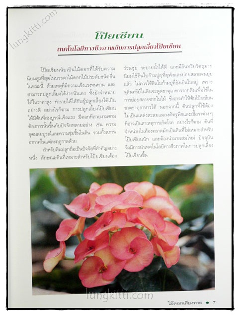 โป๊ยเซียน : ไม้ดอกเสี่ยงทาย (เล่ม 4) 1