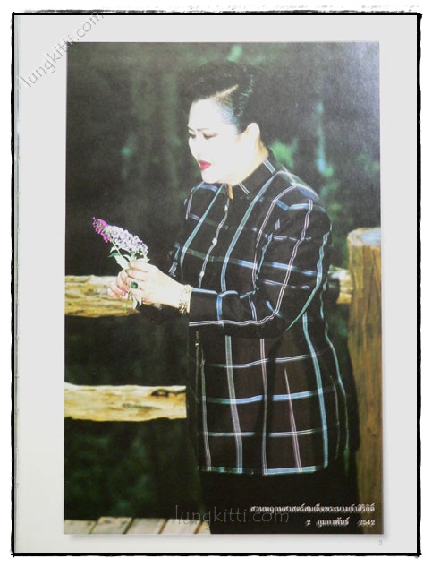 สวนพฤกษศาสตร์สมเด็จพระนางเจ้าสิริกิติ์ กล้วยไม้ไทย 2